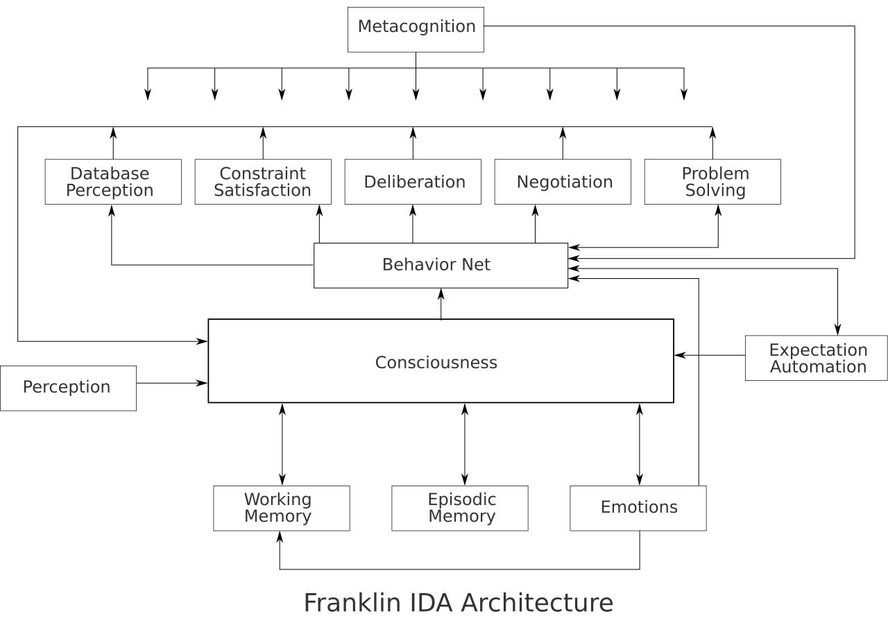 Cognitive development